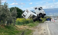 Bağa giren tır şaha kalktı