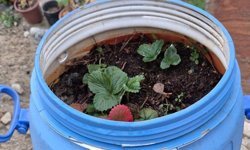 Buldanlı üreticiler atık malzemeleri tarımda değerlendiriyor