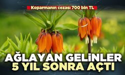Ağlayan gelinler 5 yıl sonra açtı