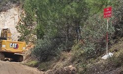 Sait Yalçın: "Maden için 724 ağaç kesilecek"