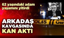 Arkadaş kavgasında kan aktı