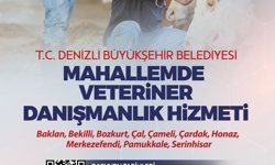 Denizli Büyükşehir’den Üreticiye Sahada Destek