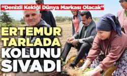 Ertemur Tarlada Kolunu Sıvadı
