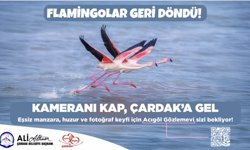 Çardak Belediyesi Flomingalar geri döndü hpopup reklamı 29 nisan