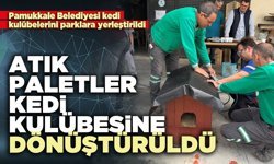 Atık paletler kedi kulübesine dönüştürüldü