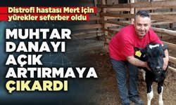 Muhtar danayı açık artırmaya çıkardı