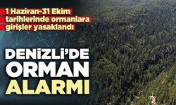 Denizli’de orman alarmı