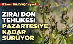 Zirai don tehlikesi pazartesiye kadar sürüyor