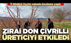 Zirai don Çivrilli üreticiyi etkiledi