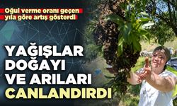 Yağışlar doğayı ve arıları canlandırdı