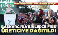 Başkarcı’da binlerce fide üreticiye dağıtıldı