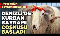 Denizli’de Kurban Bayramı coşkusu başladı