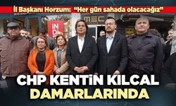 CHP kentin kılcal damarlarında