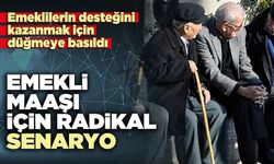 Emekli maaşı için radikal senaryo