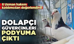 Dolapçı güvercinleri podyuma çıktı