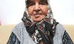 Asırlık Çınar 107 Yaşında Hayatını Kaybetti