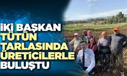 İki Başkan Tütün Tarlasında Üreticilerle Buluştu
