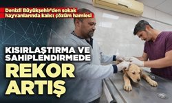 Kısırlaştırma ve sahiplendirmede rekor artış