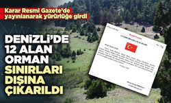 Denizli’de 12 alan orman sınırları dışına çıkarıldı