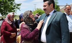 Pamukkale Belediyesi ORC Araştırmasında Denizli’nin Zirvesinde