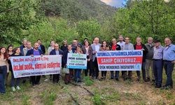 BMİ Dünya Çevre Günü’nde doğa tahribatına dikkat çekti