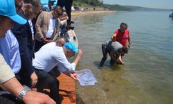 OYAK Çimento’dan Marmara Denizi’ne Sürdürülebilir Gelecek Yatırımı