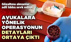 Avukalara yönelik operasyonun detayları ortaya çıktı