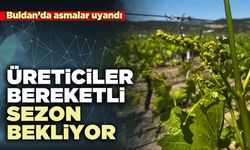Üreticiler bereketli sezon bekliyor