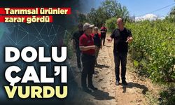 Dolu Çal’ı vurdu, tarımsal ürünler zarar gördü