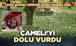 Çameli'yi dolu vurdu