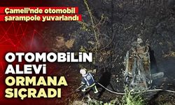 Otomobilin alevi ormana sıçradı