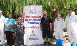 Ücretsiz Veteriner Danışmanlık Hizmeti sürüyor