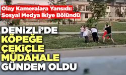 Denizli’de Köpeğe Çekiçle Müdahale Gündem Oldu