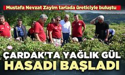 Çardak'ta yağlık gül hasadı başladı