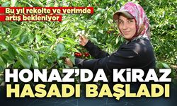 Honaz’da kiraz hasadı başladı