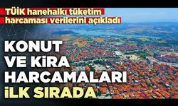 Konut ve kira harcamaları ilk sırada