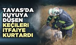 Tavas'da kuyuya düşen keçileri itfaiye kurtardı