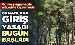 Ormanlara giriş yasağı bugün başladı