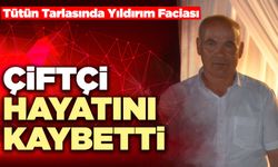 Tütün Tarlasında Yıldırım Faciası