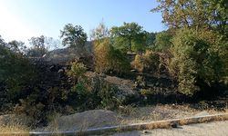 Örtü yangını büyümeden kontrol altına alındı