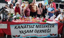 Kanatsız Melekler festivale renk kattı