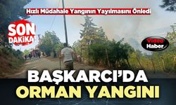 Başkarcı’daki Orman Yangını