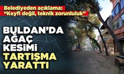 Buldan’da ağaç kesimi tartışma yarattı
