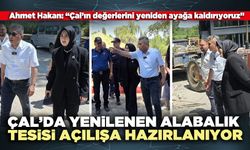 Çal’da yenilenen alabalık tesisi açılışa hazırlanıyor