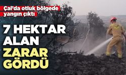 Çal’da otluk bölgede çıkan yangında 7 Hektar alan zarar gördü