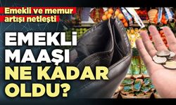 Emekli maaşı ne kadar oldu?