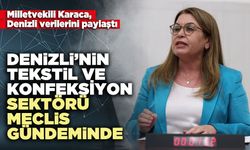 Denizli’nin tekstil ve konfeksiyon sektörü meclis gündeminde