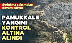 Pamukkale yangını kontrol altına alındı