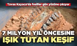 7 Milyon yıl öncesine ışık tutan keşif