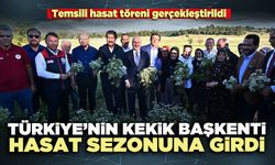 Türkiye’nin kekik başkenti hasat sezonuna girdi